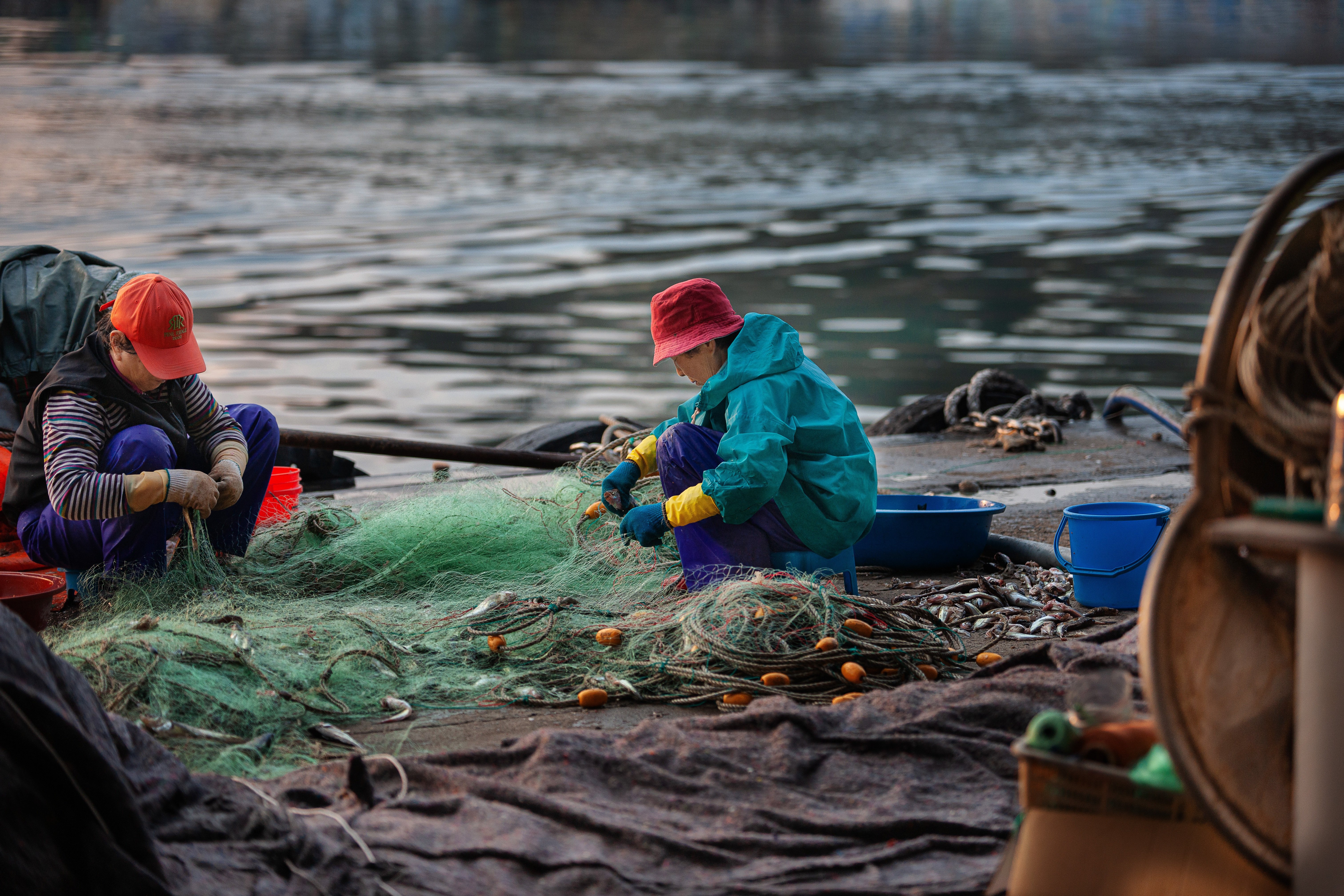 Inside a fishmeal factory